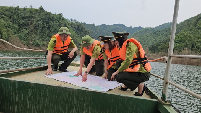 Kiểm tra, đánh giá hiện trạng rừng ở tỉnh Phú Thọ. Ảnh: Hoàng Anh. 