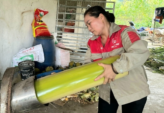 Việc chăm sóc hươu đúng quy trình kỹ thuật sẽ 'thúc' hươu lên nhung đều, phối giống tốt. Ảnh: TN.