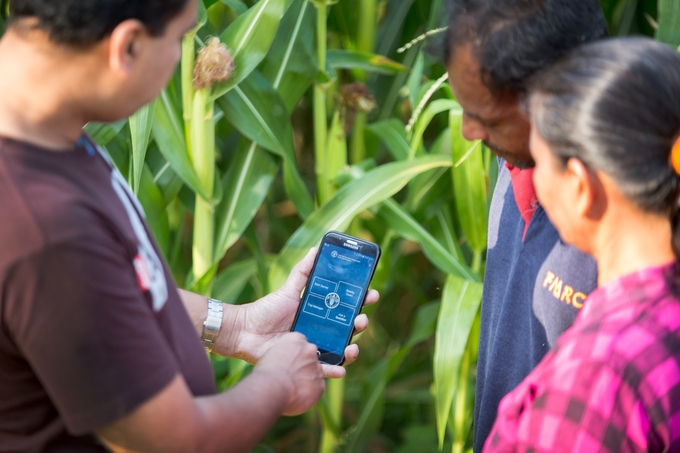 FAO has engaged in a series of activities to promote digitalization in agricultural production across several countries around the world. Photo: FAO. 