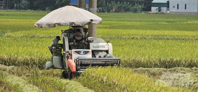 FAO supports Vietnam in the implementation of IPHM scheme and the upcoming 1 million ha of high-quality and low carbon rice in Mekong Delta. Photo: TL.