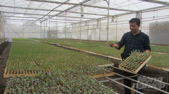 Greenhouse for producing vegetable seedlings of Mr. Tu. Photo: Hai Tien.