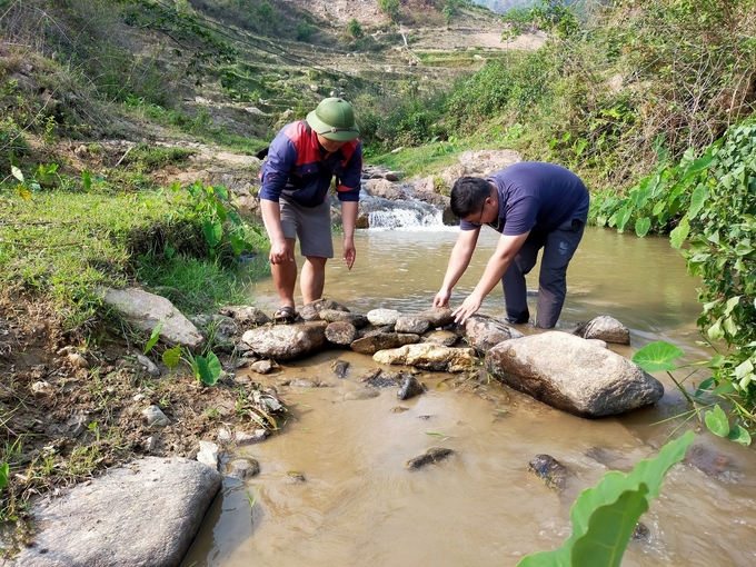 Người dân dùng đá đắp bờ để tạo nên dòng nước dẫn vào ruộng lúa. Ảnh: Thanh Tiến.