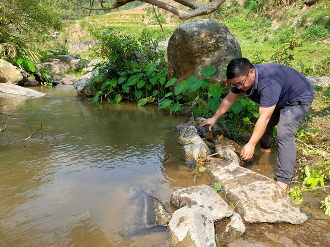 Những 'đập nước mini' có tác dụng chống hạn cho lúa trong những ngày khô hạn. Ảnh: Thanh Tiến.