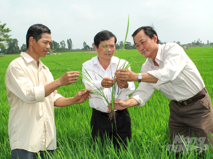 Dự kiến trong năm 2024 Đồng Tháp sẽ đào nghề nông nghiệp cho lao động nông thôn khoảng 2.210 lao động. Ảnh: Lê Hoàng Vũ.