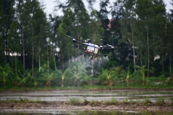 Digital transformation and the application of scientific advancements in production are global trends in the agricultural sector. Photo: Tung Dinh.