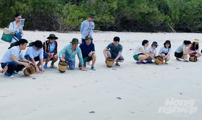 People's Artist Xuan Bac participating in the releasing of baby sea turtles into the ocean at Con Dao National Park.