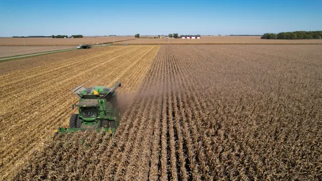 A combine harvests corn, Tuesday, Oct. 10, 2023, at a farm near Allerton, Ill. Photo: Joshua A. Bickel.