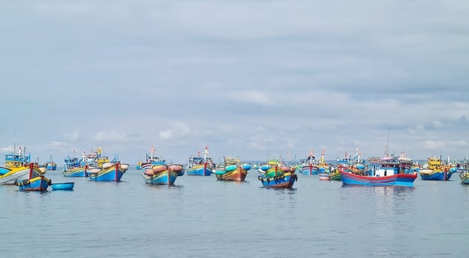 The Prime Minister has requested stakeholders to thoroughly review of the VMS system (including hardware and software); and continuously improve vessel management features to facilitate the immediate detection of unauthorized disconnection and transfer of VMS devices between fishing vessels. The deadline for this task is set for the third quarter of 2024. Photo: Hong Tham.