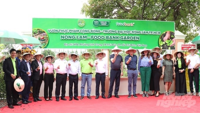 The Community Food Garden model is one of the outstanding activities and models of green transformation in the world and in Vietnam. Photo: Tran Phi.