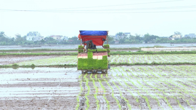 In crop production, a mere 0.4% of carbon sequestered in the soil is essential for achieving existing climate change mitigation goals. Photo: TL.