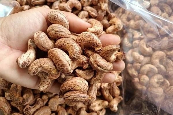 Vietnam's cashew exports to all major markets increased compared to 2022.