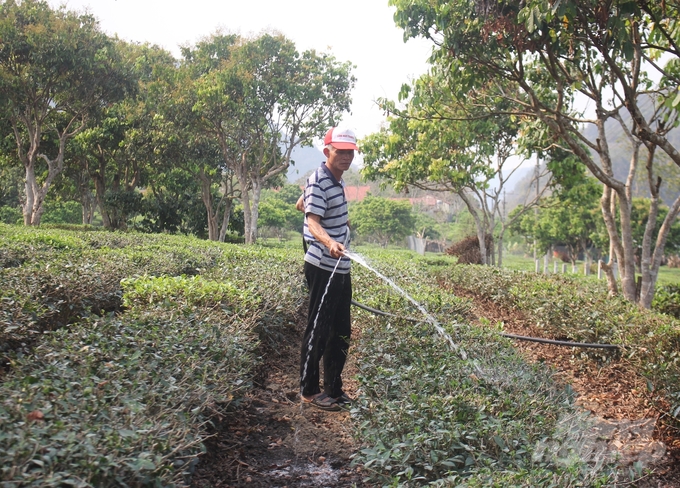 Theo ông Nguyễn Bá Vụ, Trưởng bản Đông Quan, từ khi hồ thủy lợi Lái Bay đi vào hoạt động, đời sống, sản xuất của người dân thay đổi đến không ngờ. Ảnh: Trung Quân.