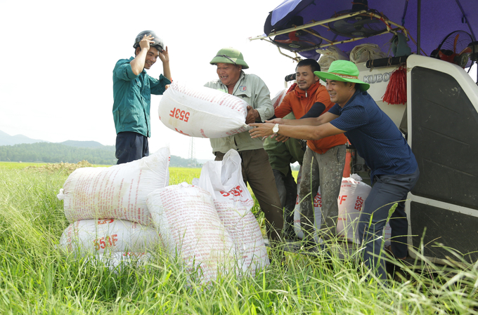 Nhiều địa phương ở Hà Tĩnh tiếp tục lập kỷ lục năng suất lúa vụ xuân. Ảnh: Thanh Nga.