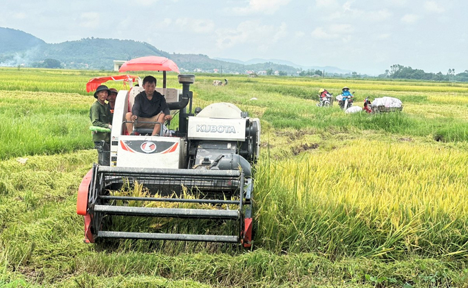 Đến thời điểm này, Hà Tĩnh đã thu hoạch đạt hơn 55% tổng diện tích lúa xuân. Ảnh: Thanh Nga.