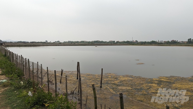 Ô nhiễm môi trường do nuôi tôm ở đầm phá Tam Giang. Ảnh: Công Điền.