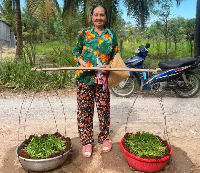 Nông dân Tiền Giang tranh thủ trời có mưa mang cây giống ra đồng để trồng. Ảnh: Minh Đảm.