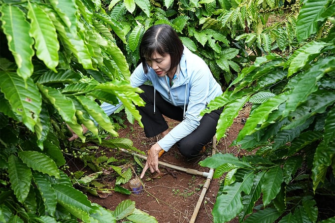 Ms. Mai Thi Nhung, a female leader of the farmers' group under the NESCAFÉ Plan, shared her experience using bottles to measure soil moisture during cultivation. This practice helps save irrigation water and reduce costs.