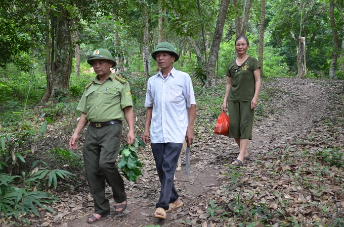 Local officers patrolling a chestnut forest in Luc Nam district. Photo: Van Dinh.