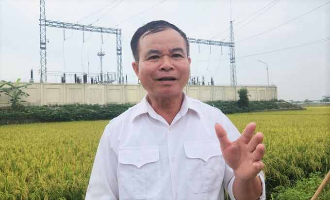 Ông Lê Văn Thể và các hộ bị thiệt hại cho rằng, nguyên nhân lúa mất mùa có thể do ảnh hưởng của trạm biến áp 110kV. Ảnh: TN.