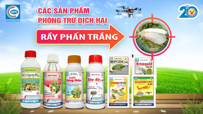 Các sản phẩm đặc trị rầy phấn trắng hiệu quả của Công ty CP BVTV Sài Gòn - SPC.