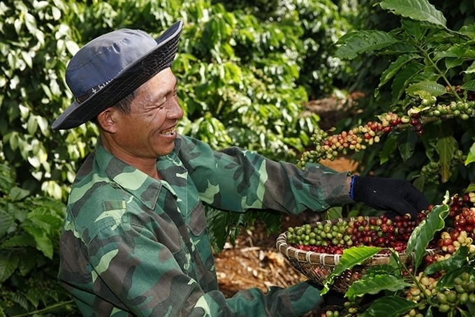 The global NESCAFÉ Plan, launched by Nestlé Group in 2010, aims to deliver sustainable value to coffee farmers in key coffee-growing regions worldwide.