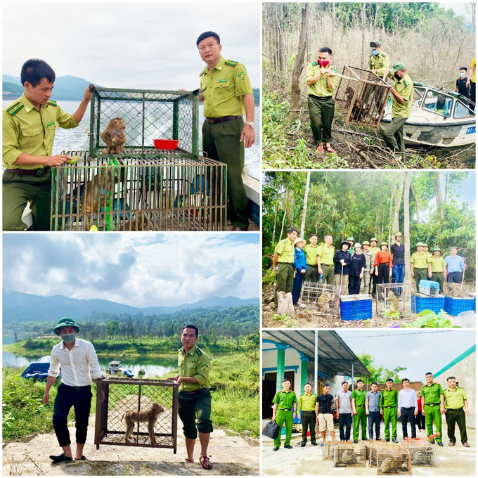 Từ năm 2019 – 2023, vườn tiếp nhận, cứu hộ hơn 1.480 cá thể động vật hoang dã. Ảnh: TN.