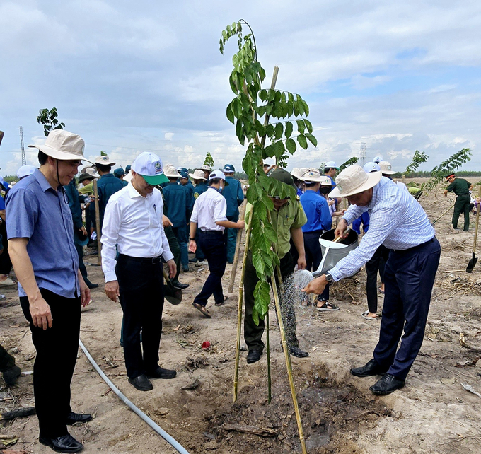 Kết quả sau 3 năm thực hiện, toàn tỉnh Đồng Nai đã trồng được hơn 12,3 triệu cây xanh đạt 61,5% chỉ tiêu 5 năm. Ảnh: Minh Sáng.