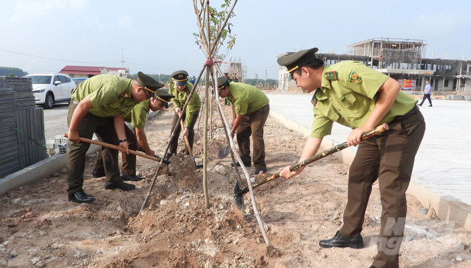 Tây Ninh đã trồng gần 3 triệu cây xanh các loại, vượt 140% so với kế hoạch 2021 - 2025 đề ra. Ảnh: Trần Trung.