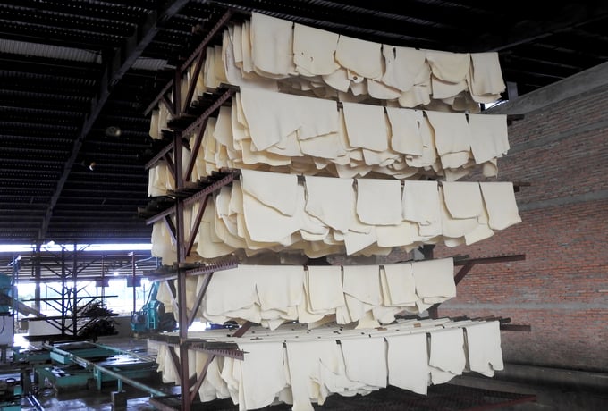Mủ cao su sản xuất tại một nhà máy ở Campuchia của VRG. Ảnh: Thanh Sơn.