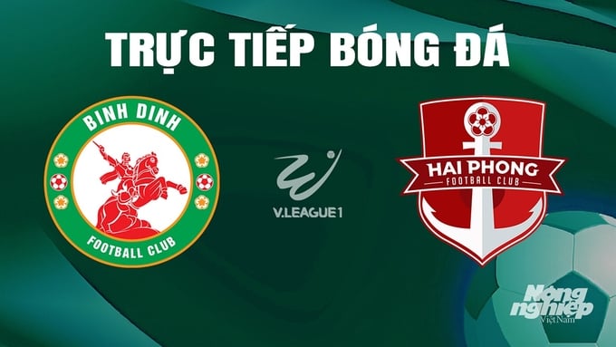 Trực tiếp bóng đá V-League 2023/24 giữa Bình Định vs Hải Phòng hôm nay 18/5/2024