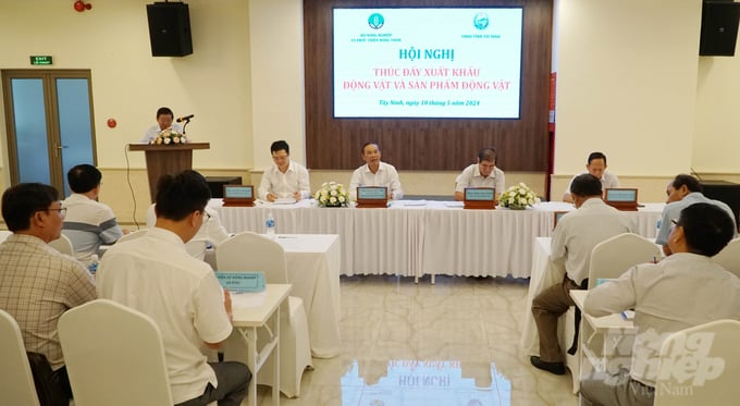 Deputy Minister Phung Duc Tien and Mr. Tran Van Chien, Vice Chairman of the Tay Ninh Provincial People's Committee, jointly chaired the conference on May 18. Photo: Le Binh.