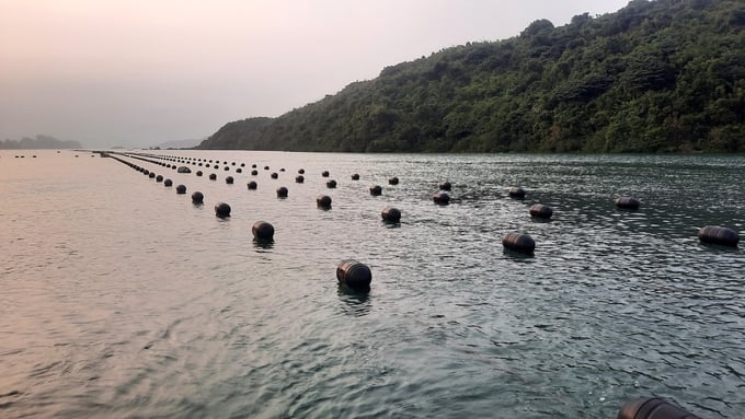 Quảng Ninh có tiềm năng lớn để phát triển nuôi biển. Ảnh: Nguyễn Thành.