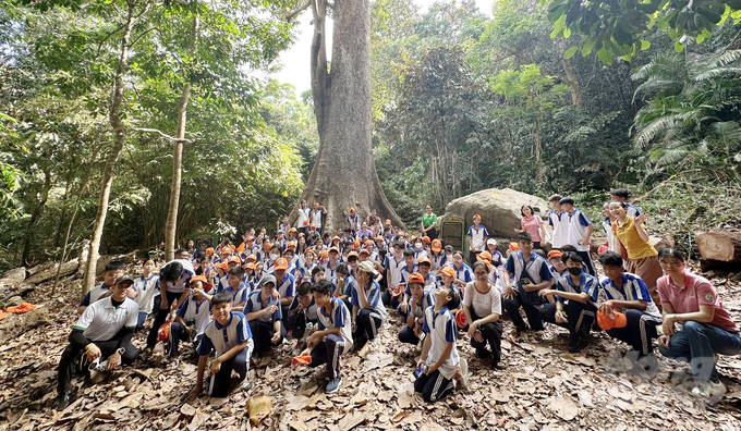 Các thành viên của CLB Xanh có dịp trải nghiệm băng rừng và khám phá cây di sản Việt Nam có tuổi đời hơn 400 năm tuổi tại Vườn quốc gia Côn Đảo. Ảnh: Lê Bình- VP.