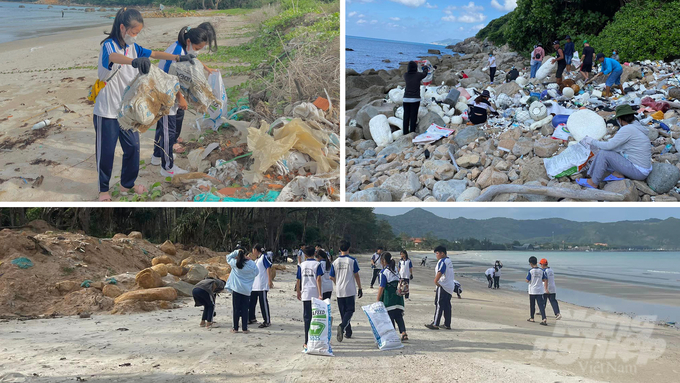 CLB Xanh thường xuyên tổ chức các đợt nhặt rác đại dương tại các bờ biển nhằm trả lại màu xanh cho Côn Đảo. Ảnh: Lê Bình.
