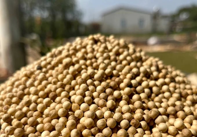 White pepper products of Binh Phuoc. Photo: Son Trang.