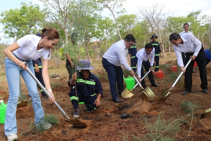 Tree planting activities in Can Gio district.