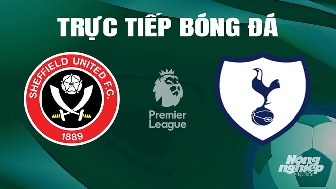 Trực tiếp bóng đá Ngoại hạng Anh giữa Sheffield United vs Tottenham hôm nay 19/5/2024