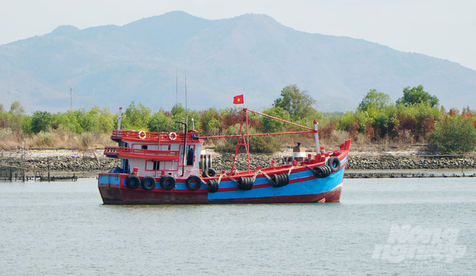 Bà Rịa - Vũng Tàu được giao hạn ngạch 2.746 giấy phép khai thác thủy sản tại vùng khơi. Ảnh: Lê Bình.