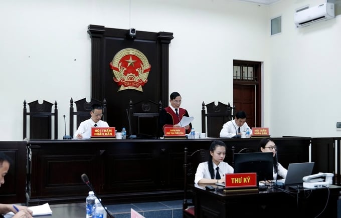 Hội đồng xét xử sơ thẩm vụ án liên quan khai thác khoáng sản trái phép tại Lào Cai. Ảnh: Q.K.