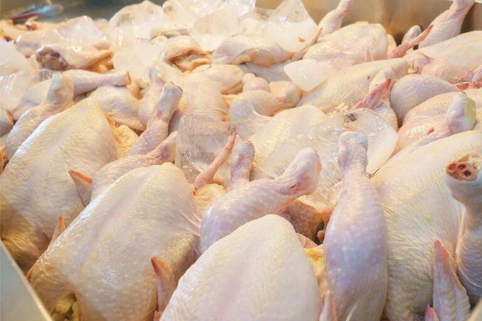 Rabobank says that South and Southeast Asia will be the world’s fastest-growing poultry markets over the next 6 years. Photo: Canva.