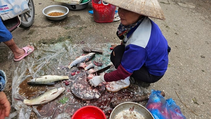 Chế biến cá tại chợ tạm ở phường Đồng Tâm, TP Vĩnh Yên. Đây là một trong những điểm cung cấp thực phẩm cho công nhân của Công ty TNHH Shinwon Ebenezer Việt Nam. Ảnh: Văn Việt.