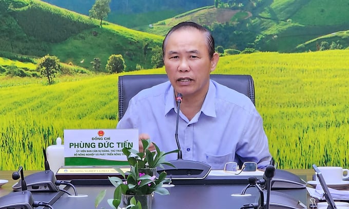 Deputy Minister Phung Duc Tien emphasized: 'Continuous inspections without acknowledging our mistakes are an ineffective approach.' Photo: Bao Thang.