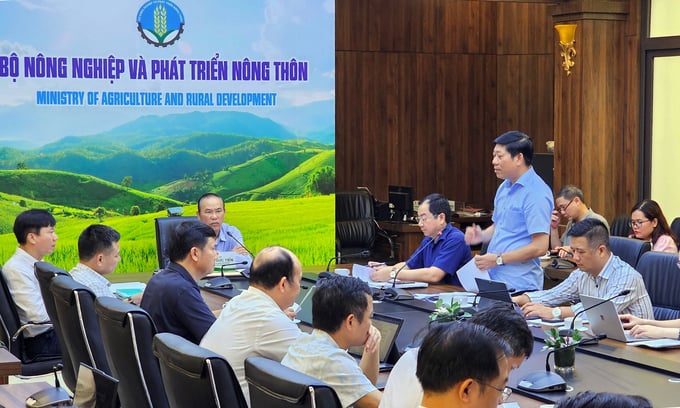 General Director of the Fisheries Control Department reported on the progress of drafting the Resolution by the Party Committee of the Ministry of Agriculture and Rural Development to implement Directive No. 32-CT/TW of the Secretariat. Photo: Bao Thang.