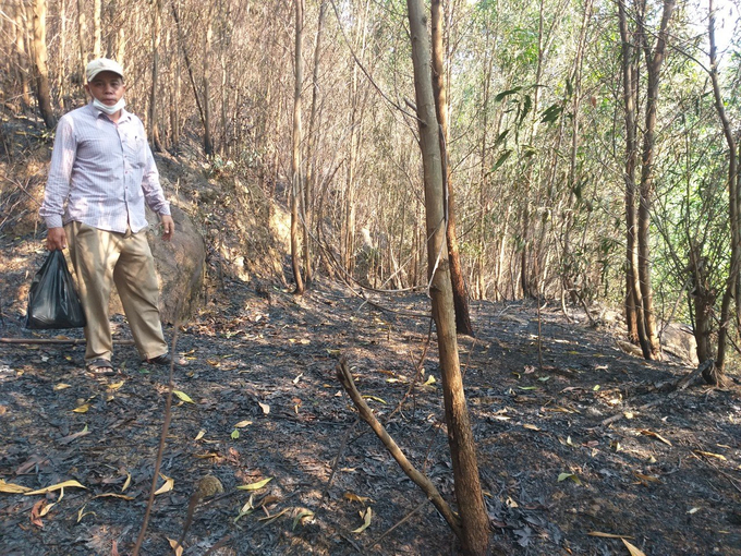 Hiện nay, tỉnh Quảng Nam đang gặp khó khăn trong công tác phòng cháy chữa cháy rừng do thiếu kinh phí, trang thiết bị. Ảnh: L.K.