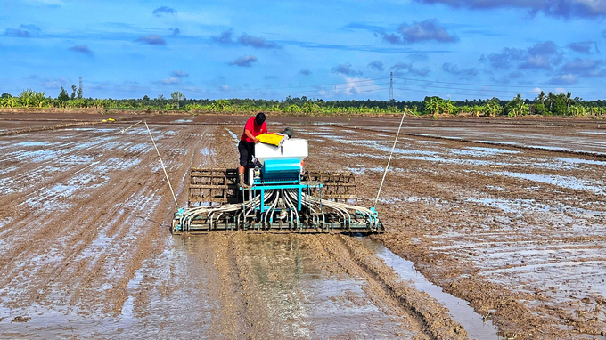 Sau TP Cần Thơ, Sóc Trăng là địa phương thứ hai ở ĐBSCL triển khai mô hình thí điểm cánh đồng lúa giảm phát thải thuộc Đề án 1 triệu ha lúa chất lượng cao. Ảnh: Kim Anh.