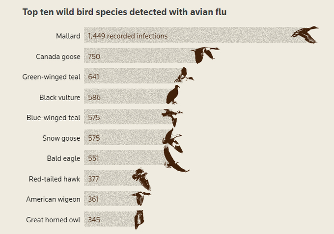 Note: Highly pathogenic avian influenza detection data for 2022-2024 as of May 14, 2024   Source: USDA’s Animal and Plant Health Inspection Service.