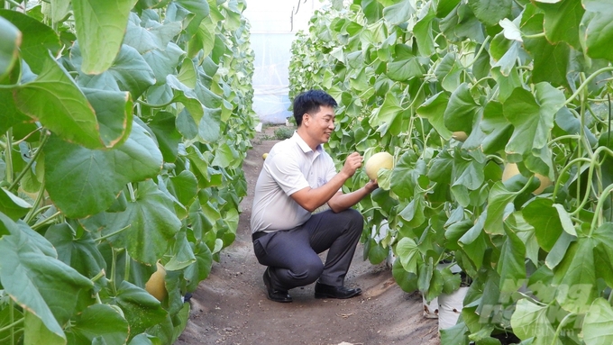 HTX Nông nghiệp công nghệ cao Kim Long, xã An Bình, một trong những HTX hoạt động hiệu quả. Ảnh: Trần Trung.