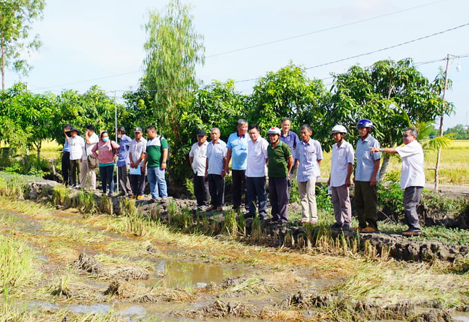 Upon completion of the training course, participants will go on field excursions and engage in hands-on practice in the rice fields. Photo: Thuy Ly.