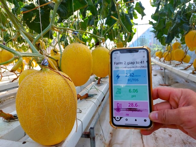 The application of digital technologies contributes to the effective transformation from traditional agriculture to modern agriculture. Photo: Kieu Trang.