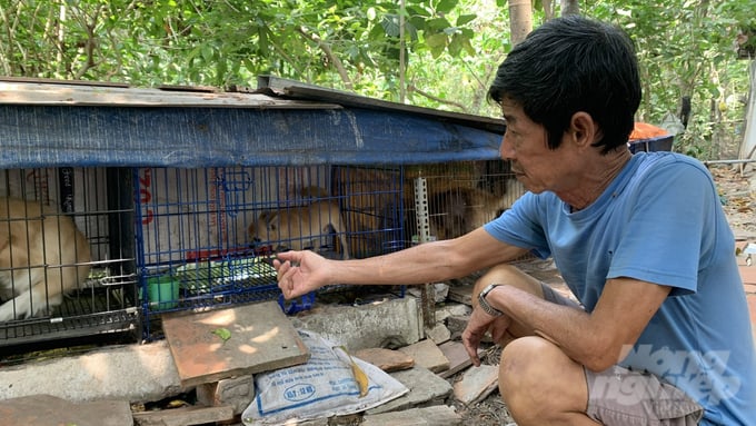 The Vinh Long Department of Animal Husbandry and Veterinary Medicine advises dog owners to comply with regulations such as reporting to local authorities and vaccinating their dogs against rabies as instructed by veterinary agencies.